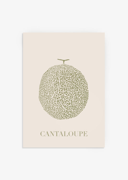 Cantaloupe Melon Poster