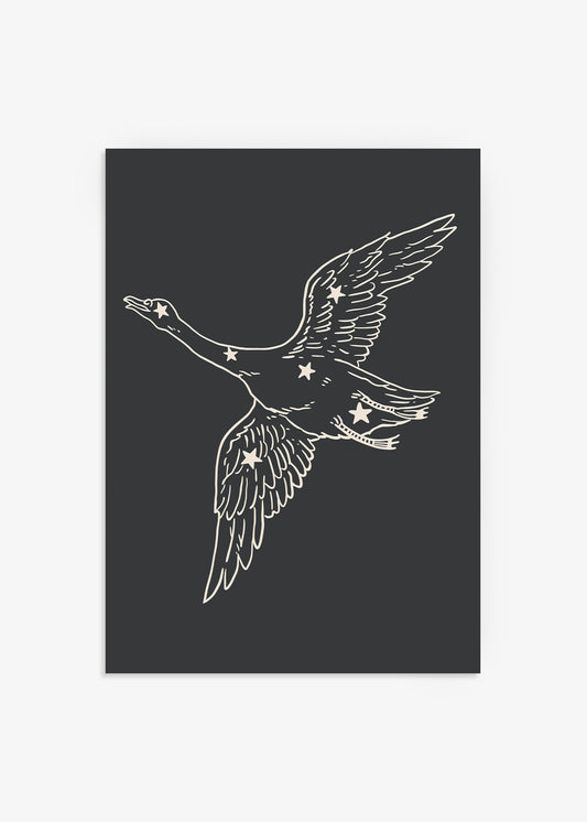Flying Swan Poster