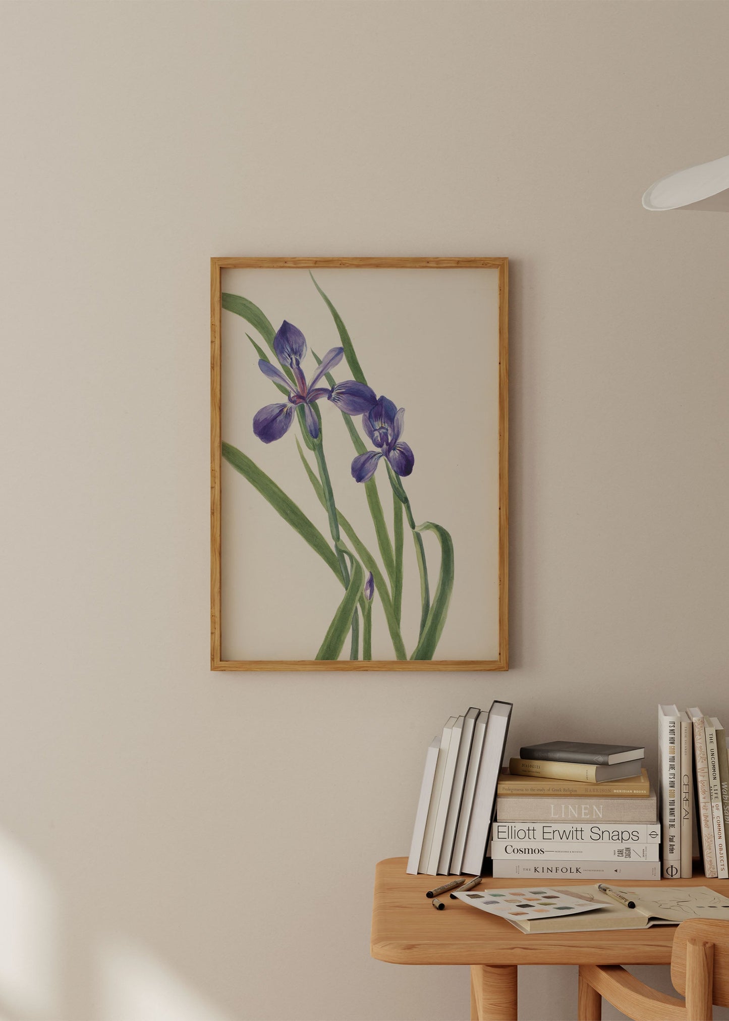 Iris Species Illustration Poster