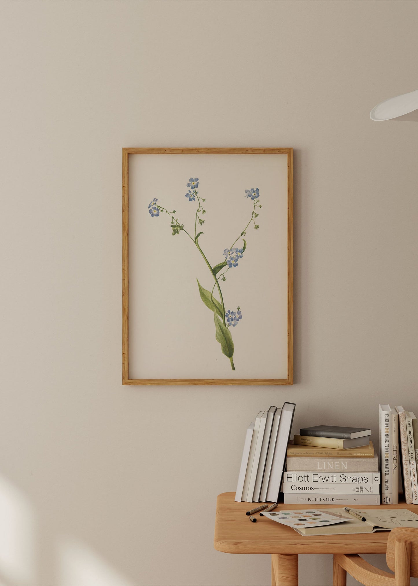 Bur Forget Me Not Wildflower Poster
