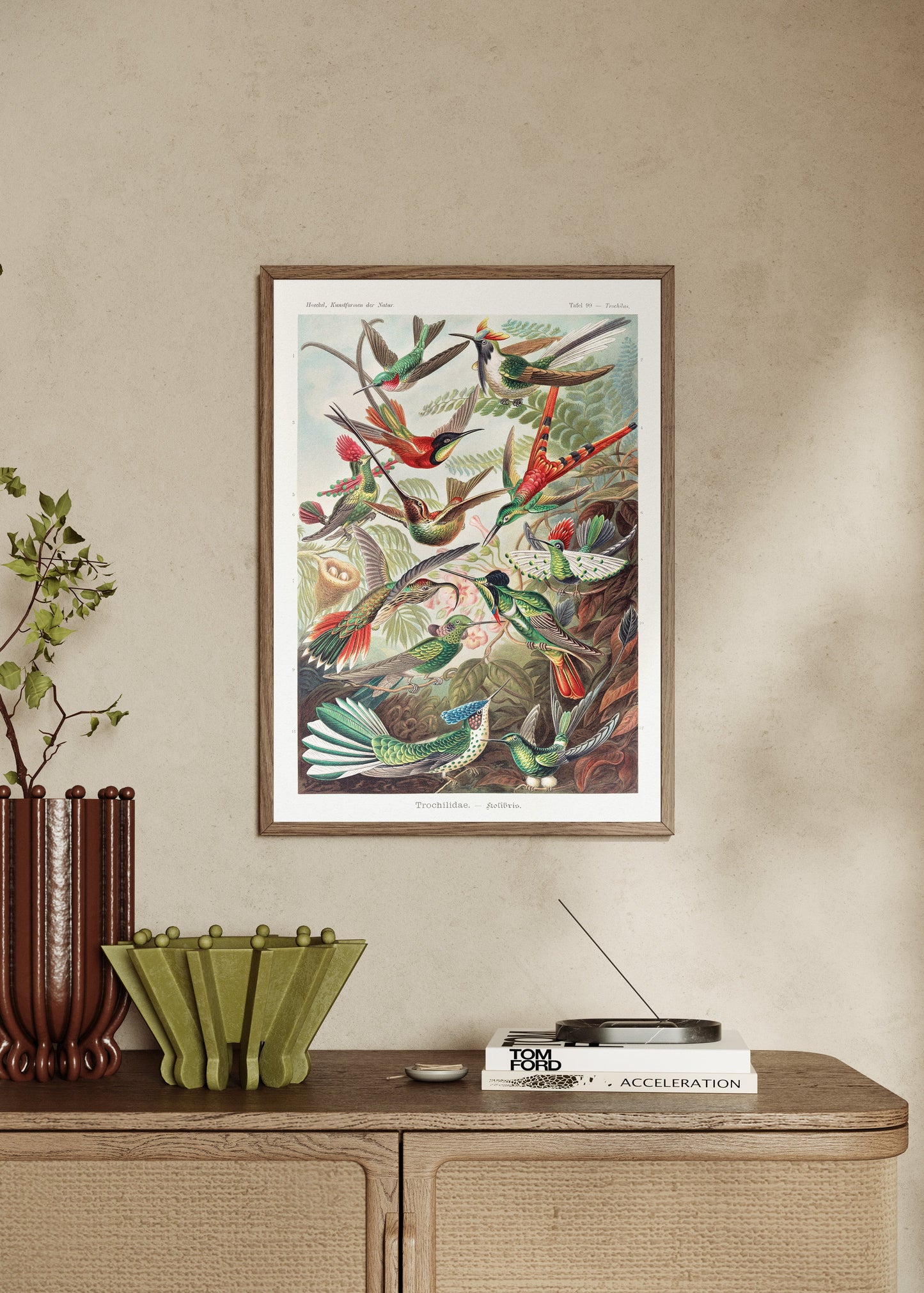 Kolibris Illustration Poster