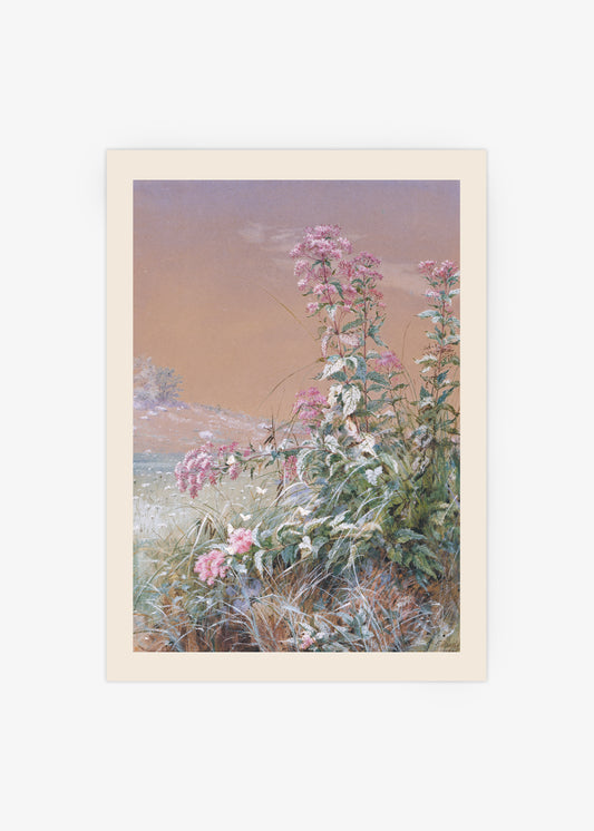 Fidelia Bridges Botanical Poster