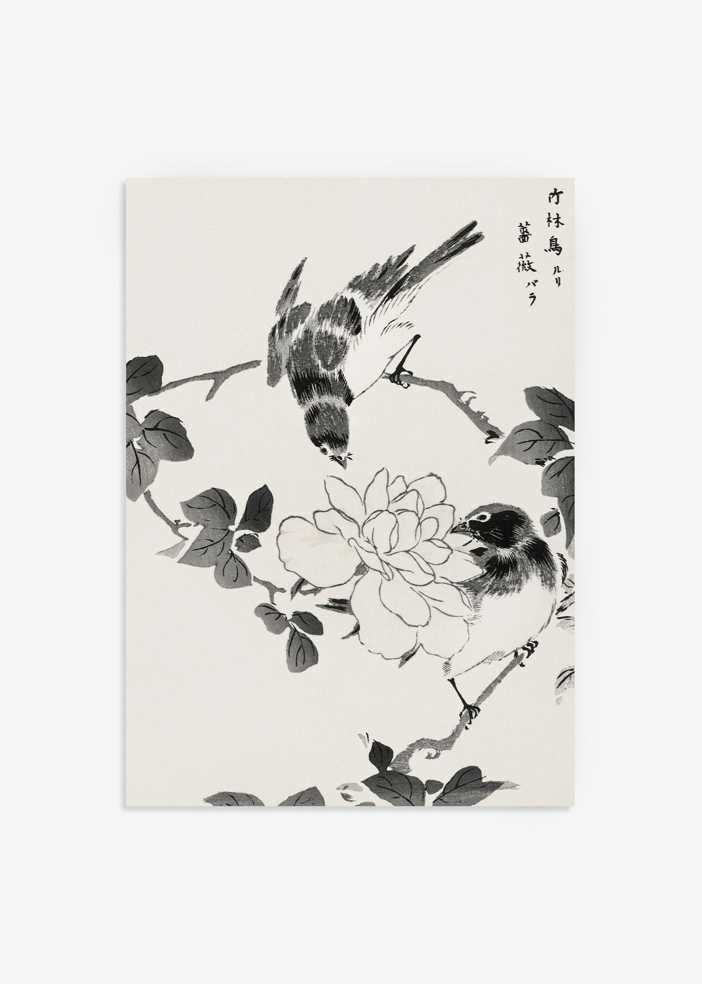 Pallas’s Blue Robin and Rose Print