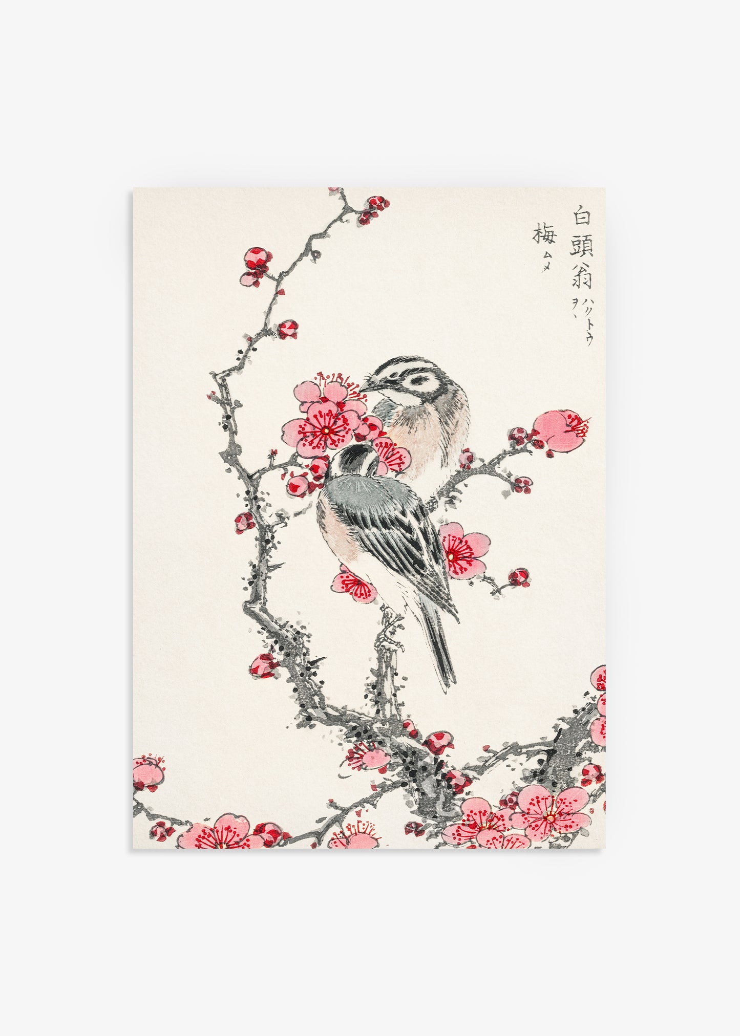 Pine Bunting and Plum Tree Print