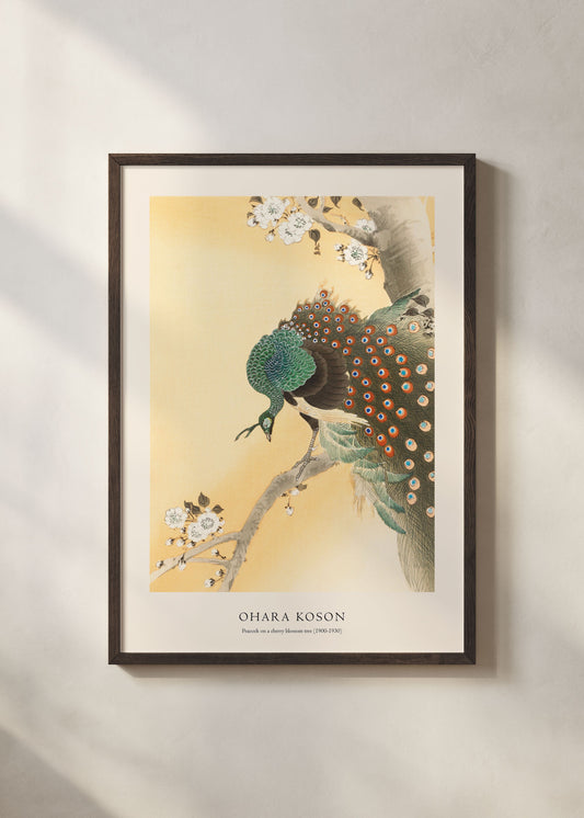 Ohara Koson Peacock on a Cherry Blossom Tree Print