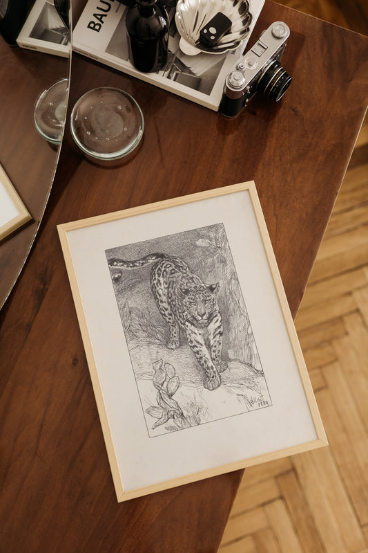 Leopard Sketch Poster