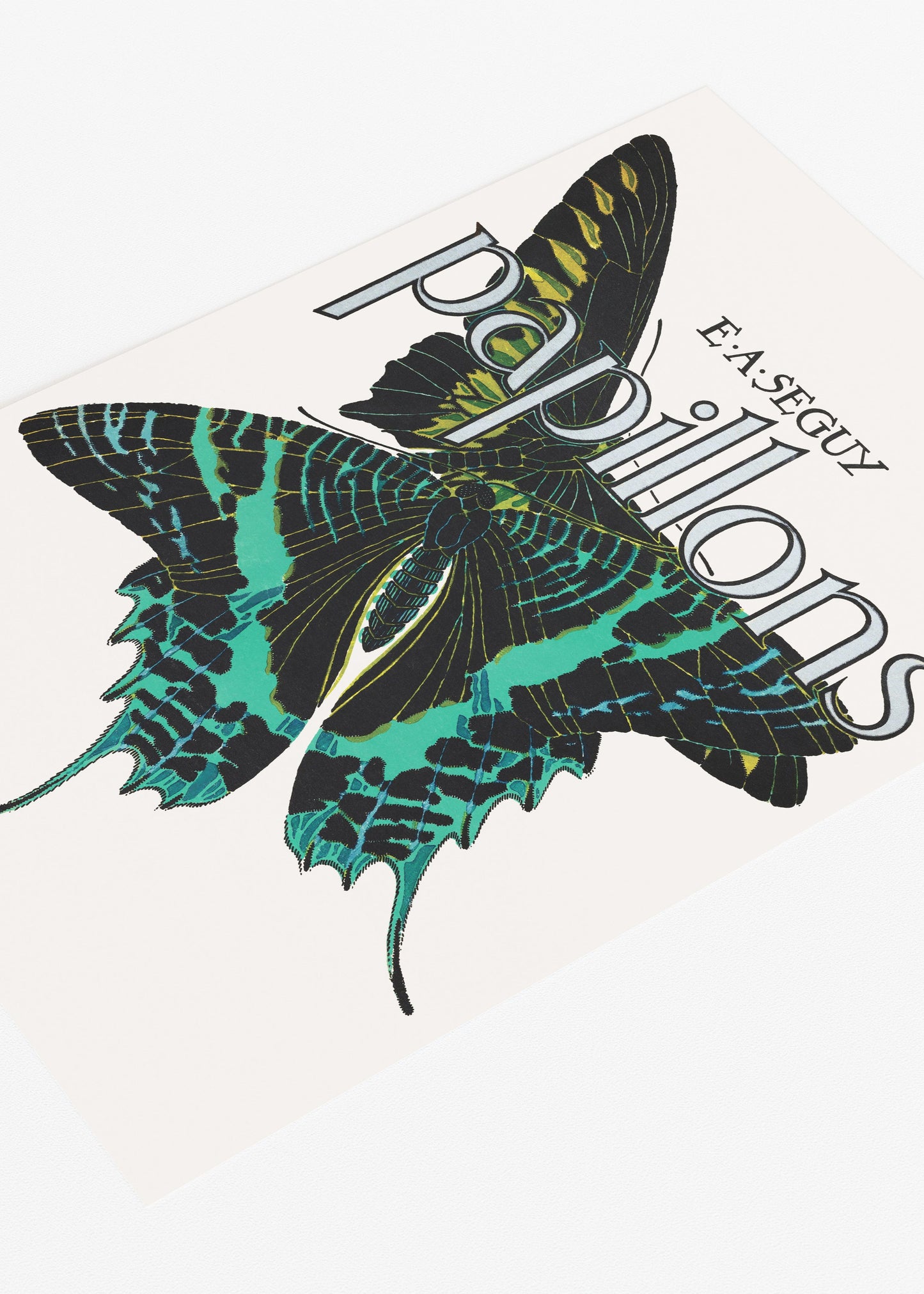 Papillons Butterfly Exhibition Print