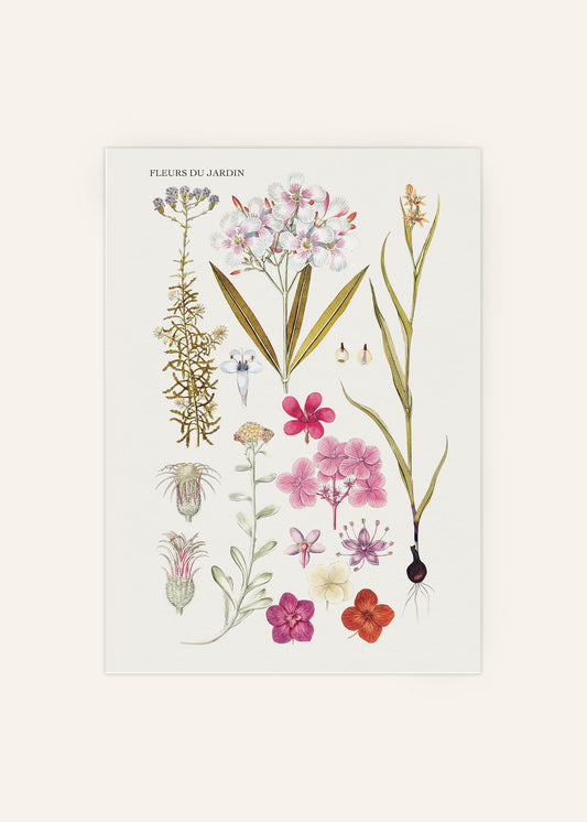 Fleurs Du Jardin Poster