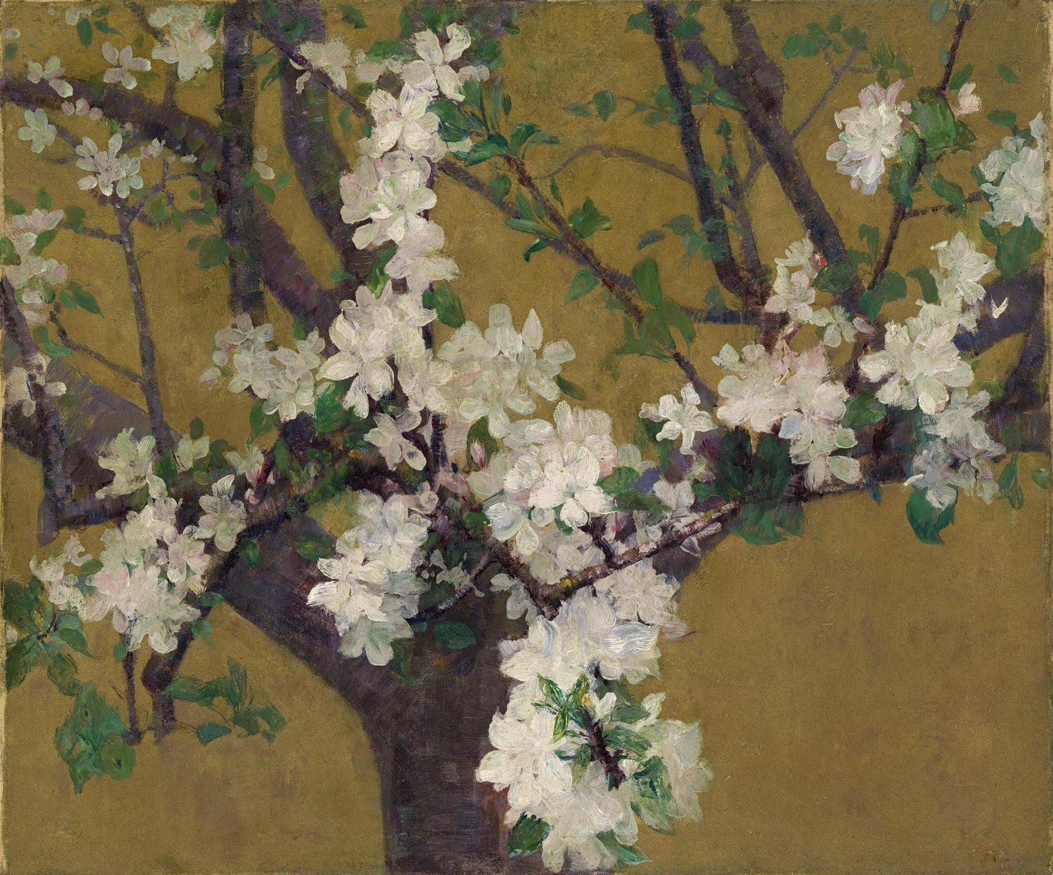 Blossoms Paintings Image