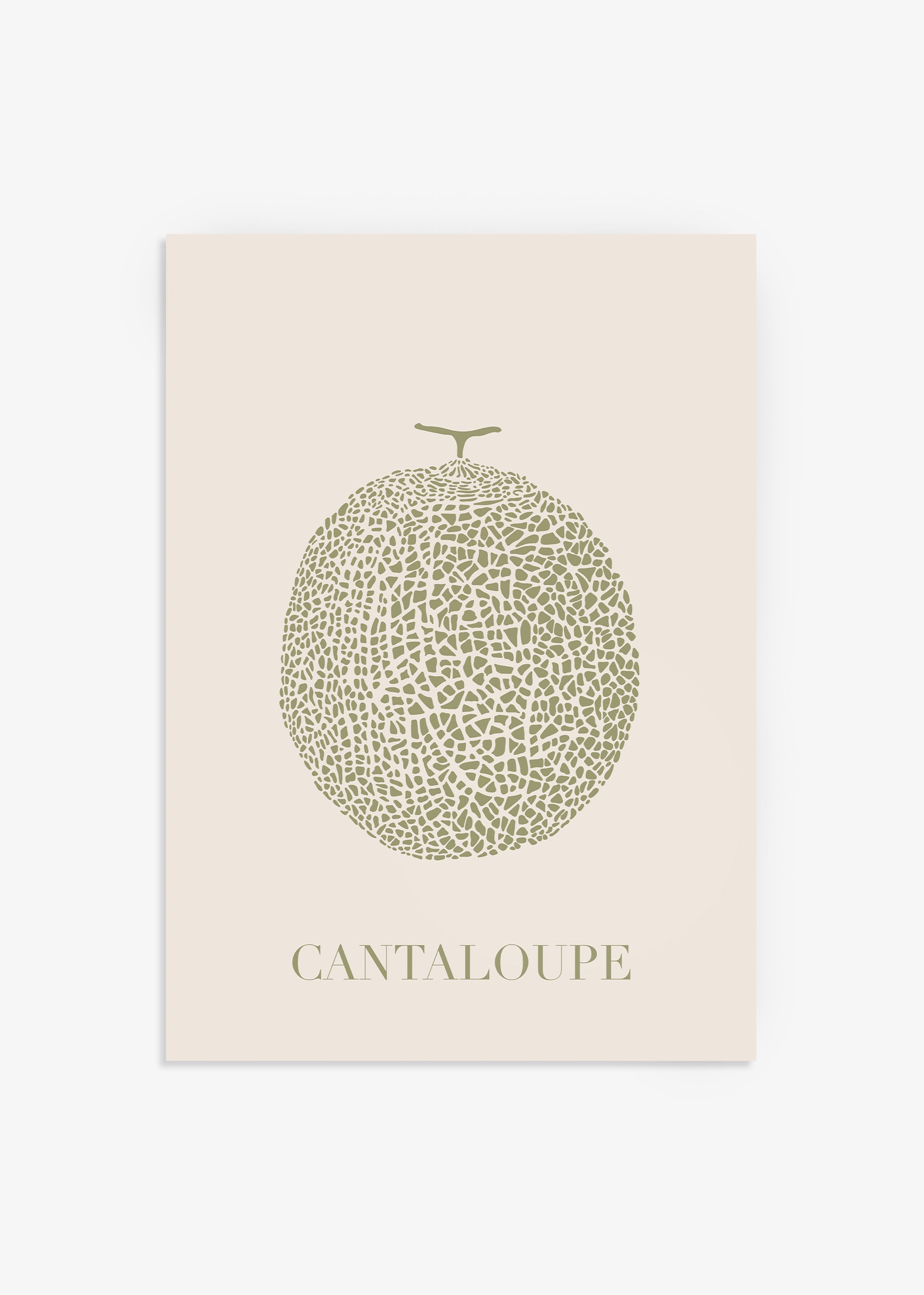 Cantaloupe Melon Poster