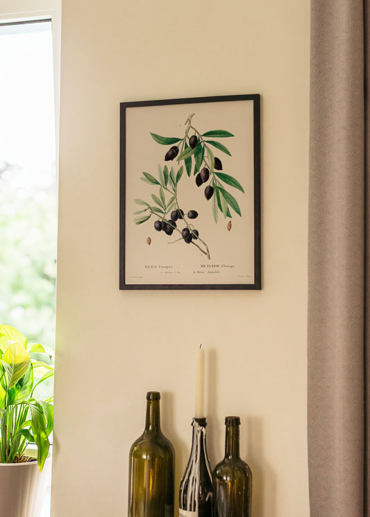 Olive Branch Poster