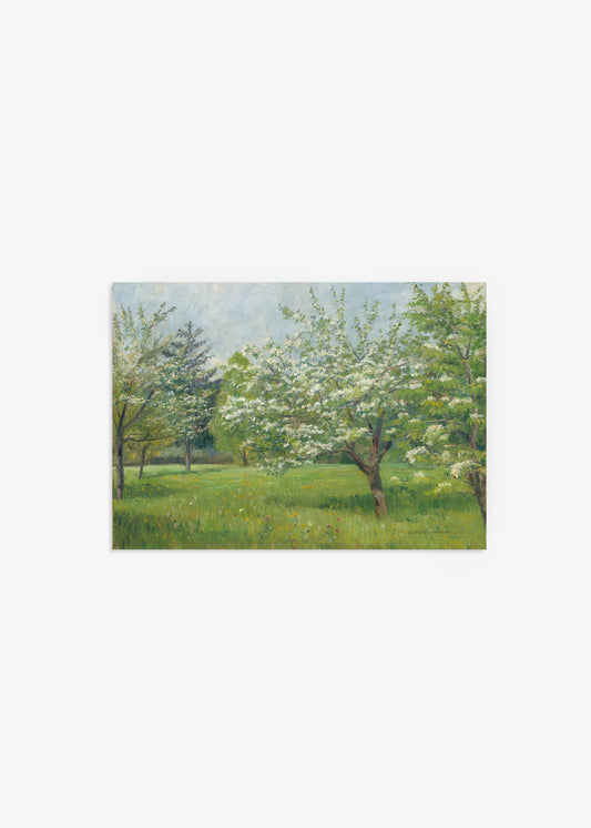 Blossoming Trees Poster