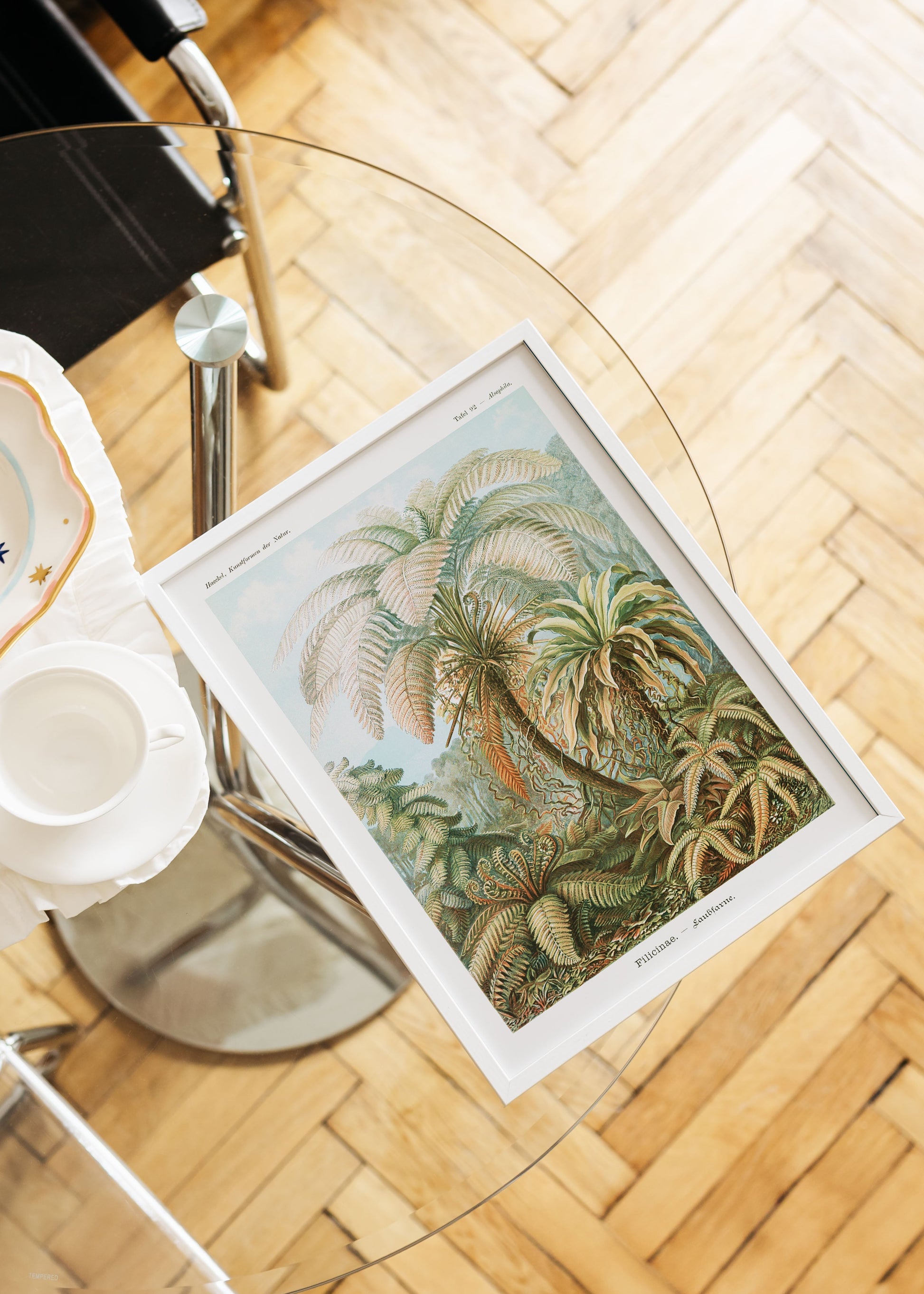 Filicinae Laubfarne Palm Trees Poster