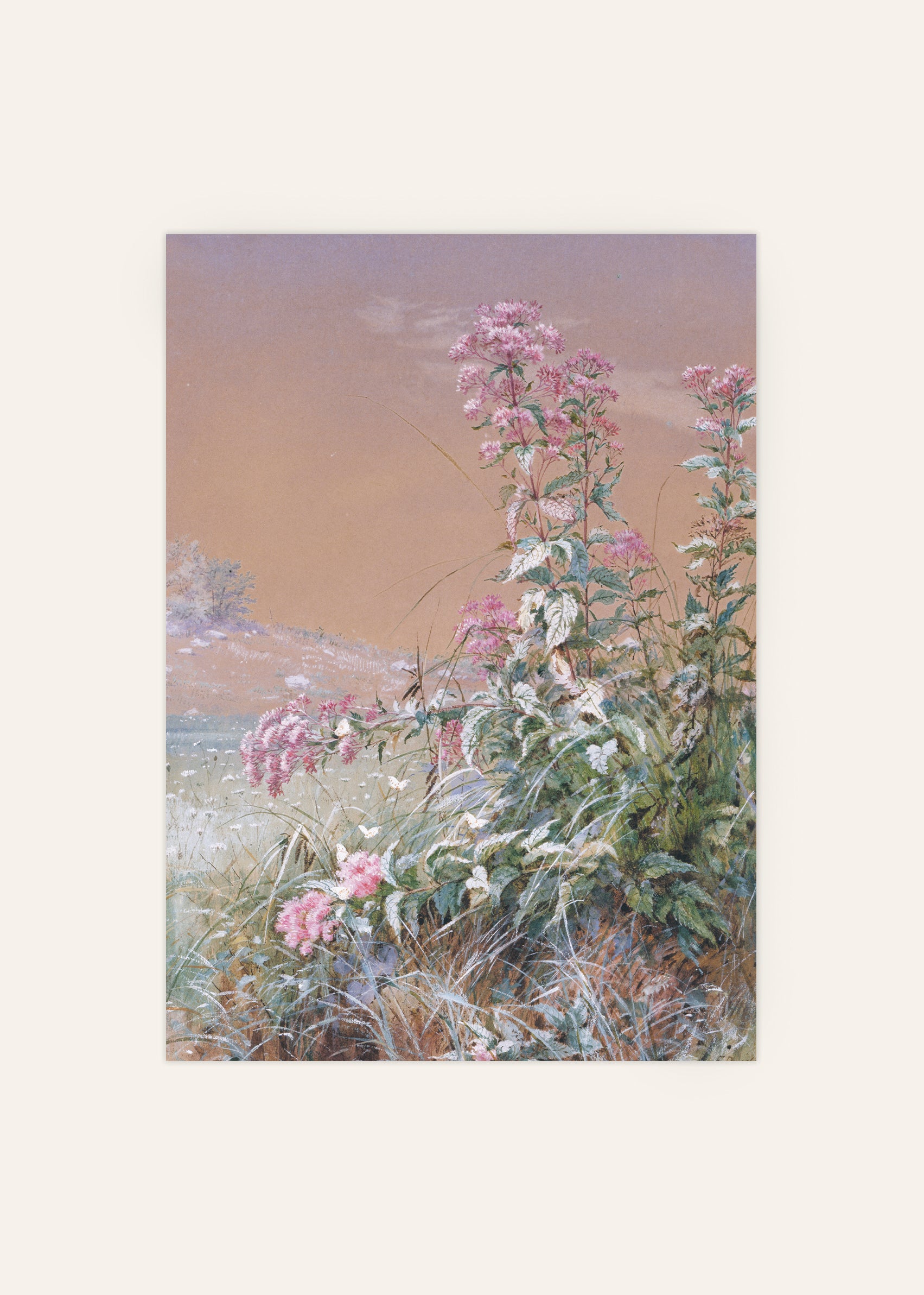 Fidelia Bridges Botanical Poster