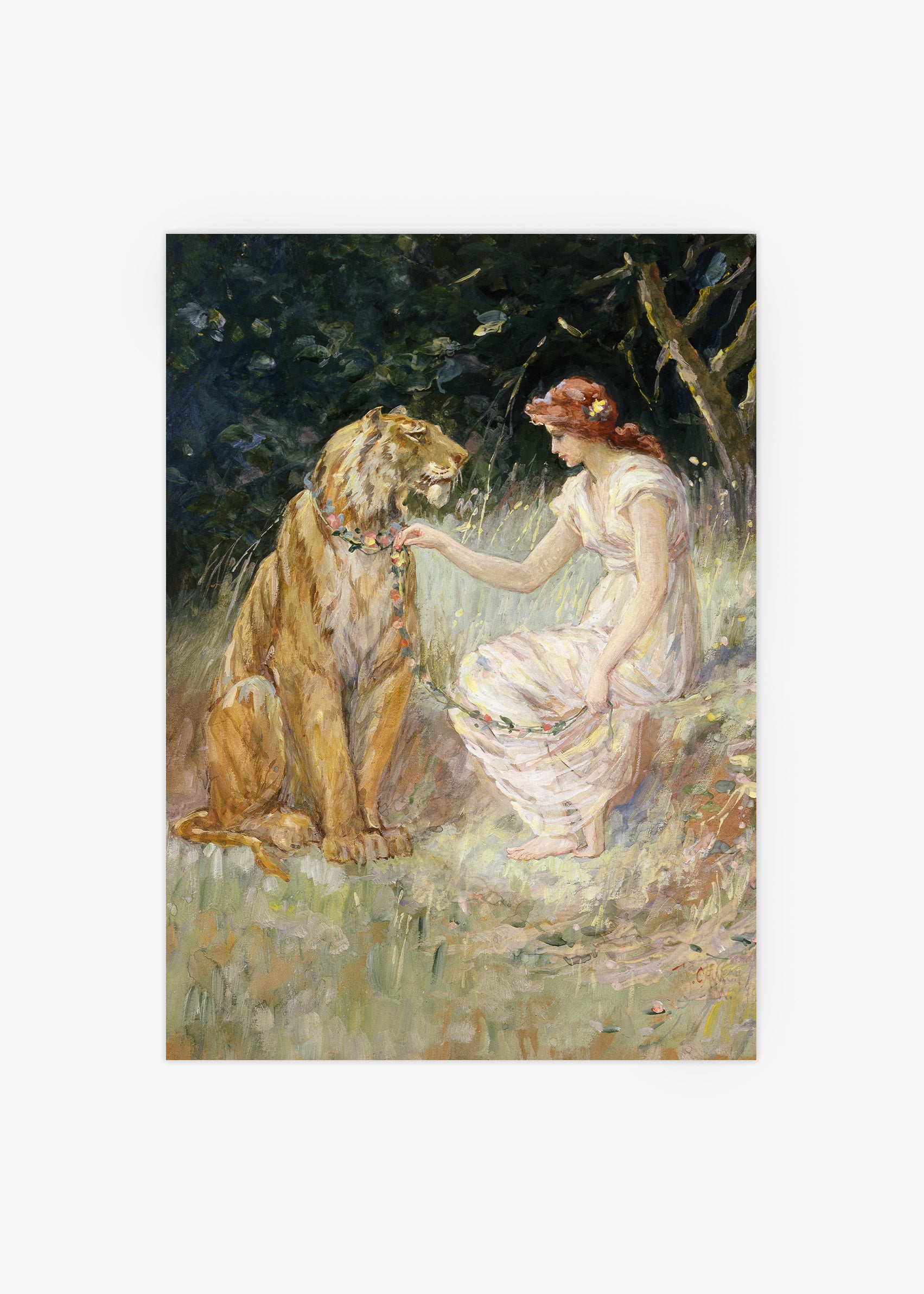 Lady and the Tiger Poster