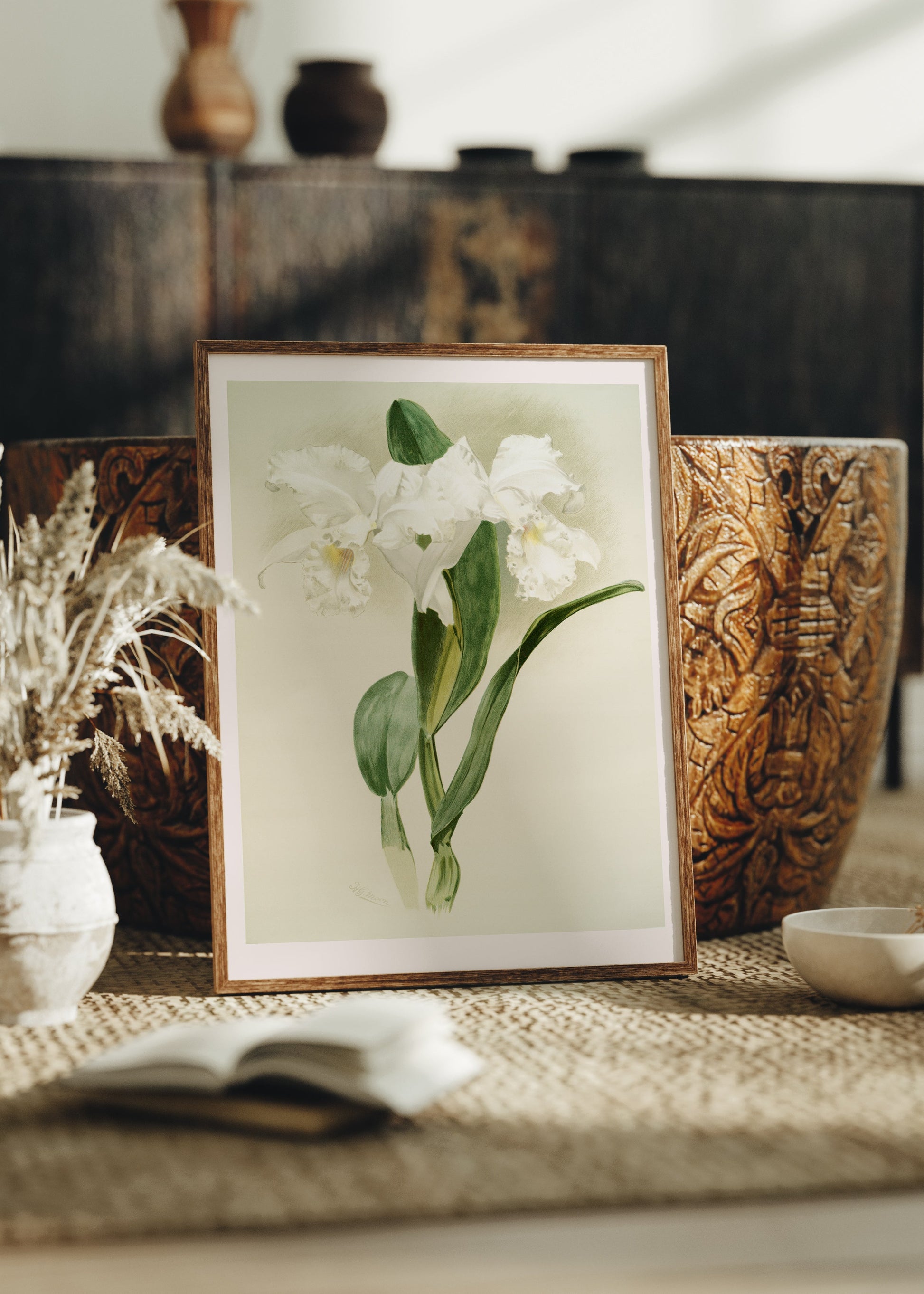 White Orchids Poster