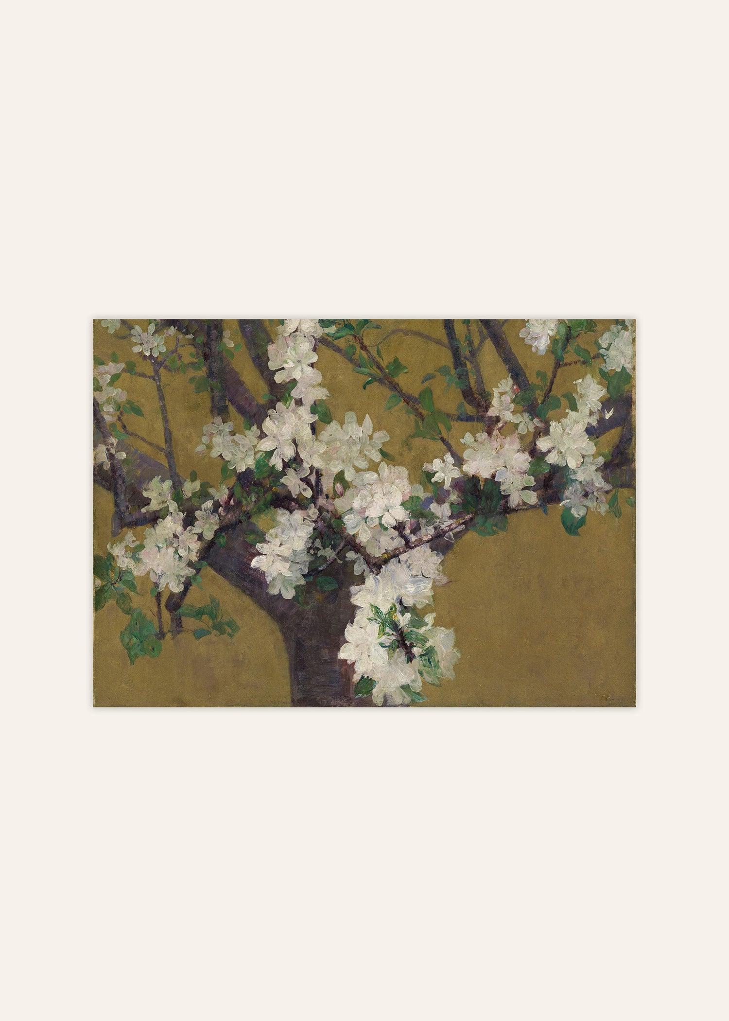 Almond Blossoms Poster Image