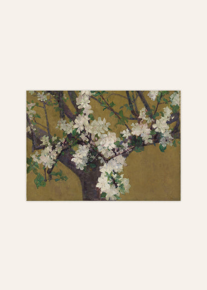 Almond Blossoms Poster