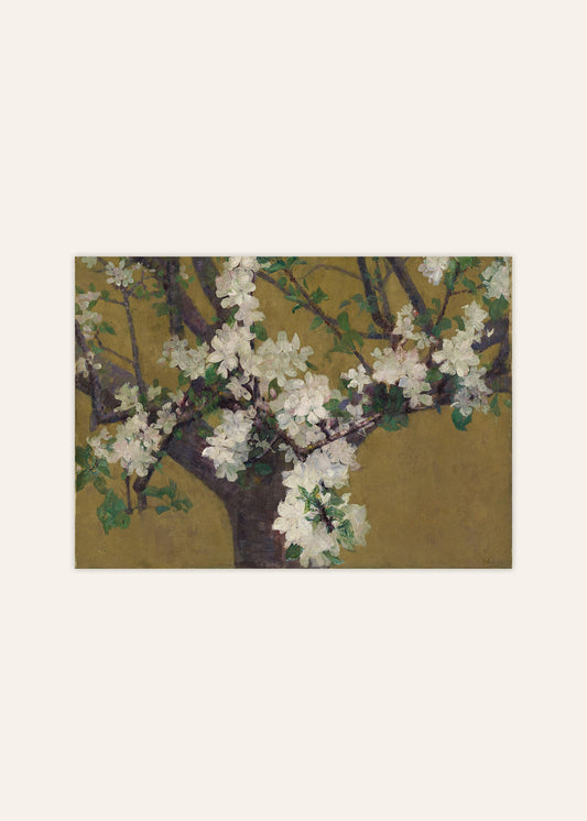 Almond Blossoms Poster