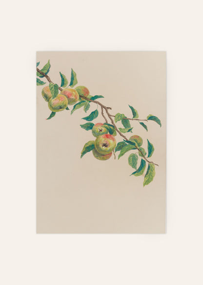 Apple Tree Branch Poster