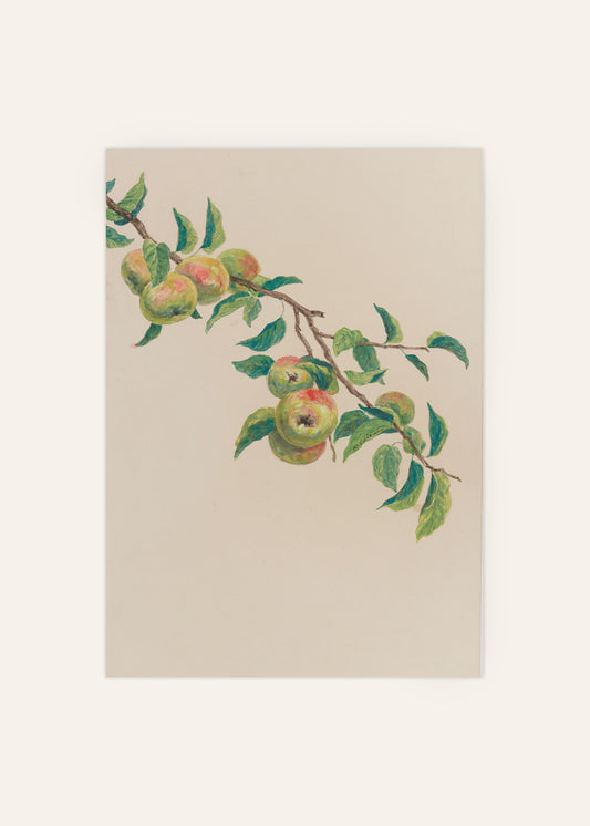 Apple Tree Branch Poster
