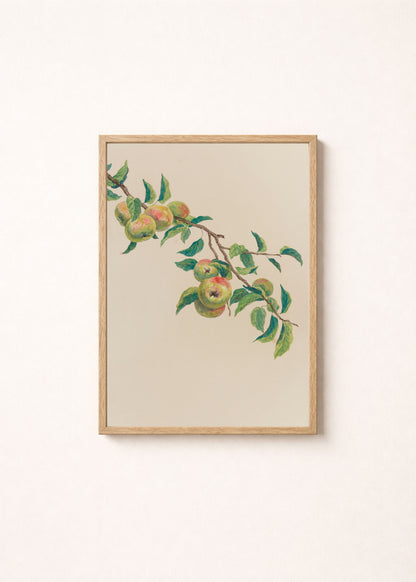 Apple Tree Branch Poster