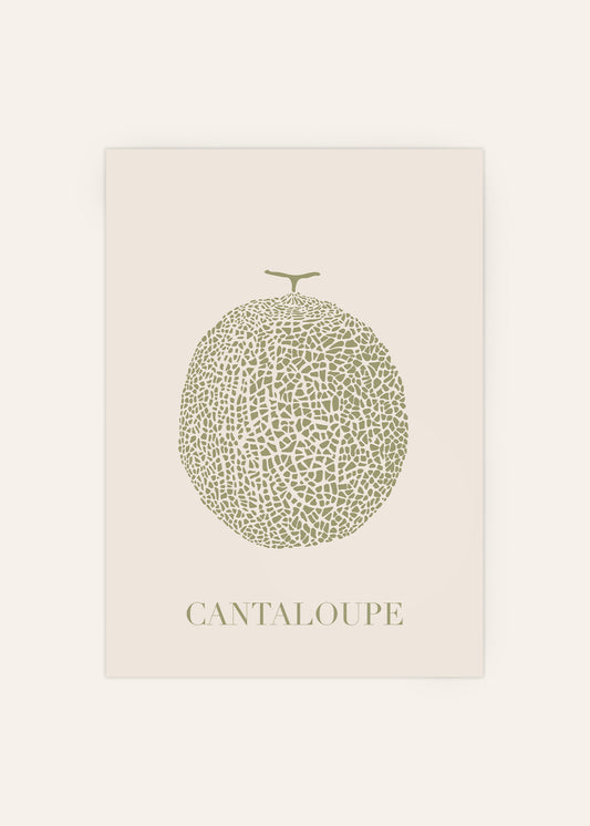 Cantaloupe Melon Poster