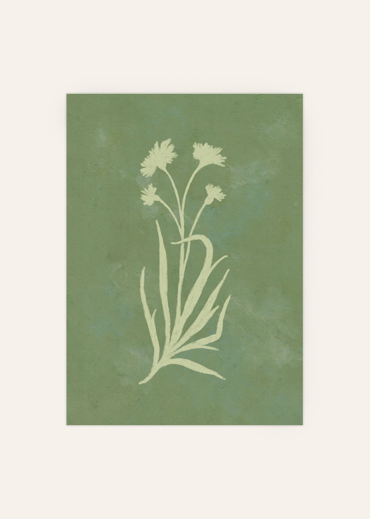 Cornflower Illustration Poster