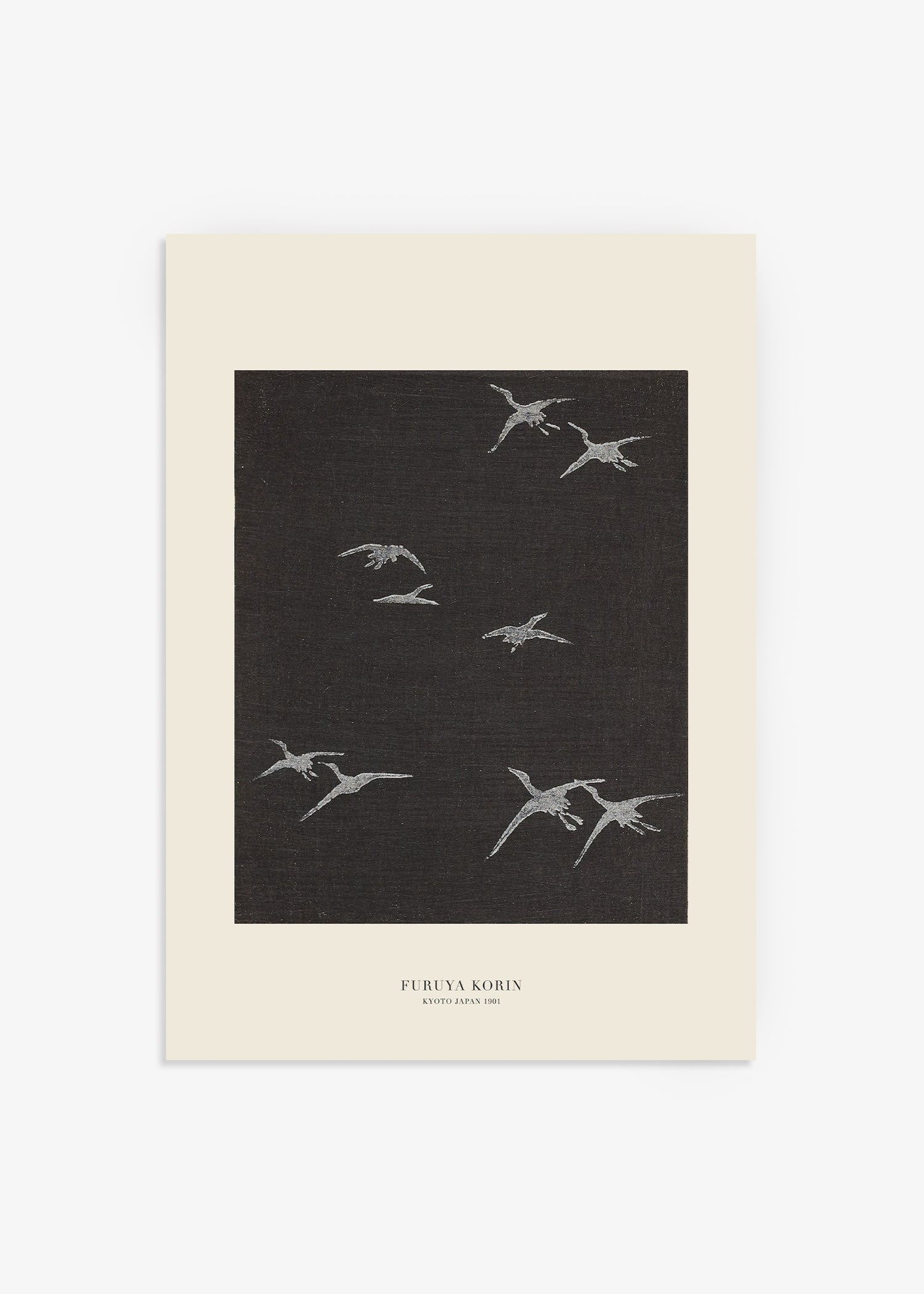 Collection Image