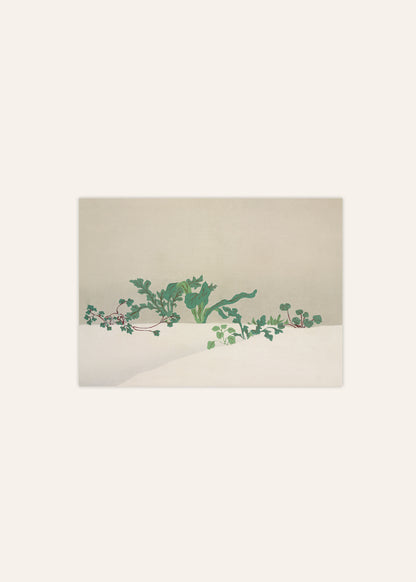 Flowers of a Hundred Generations Poster