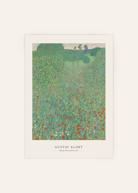 Blühender Mohn Mohnwiese Print