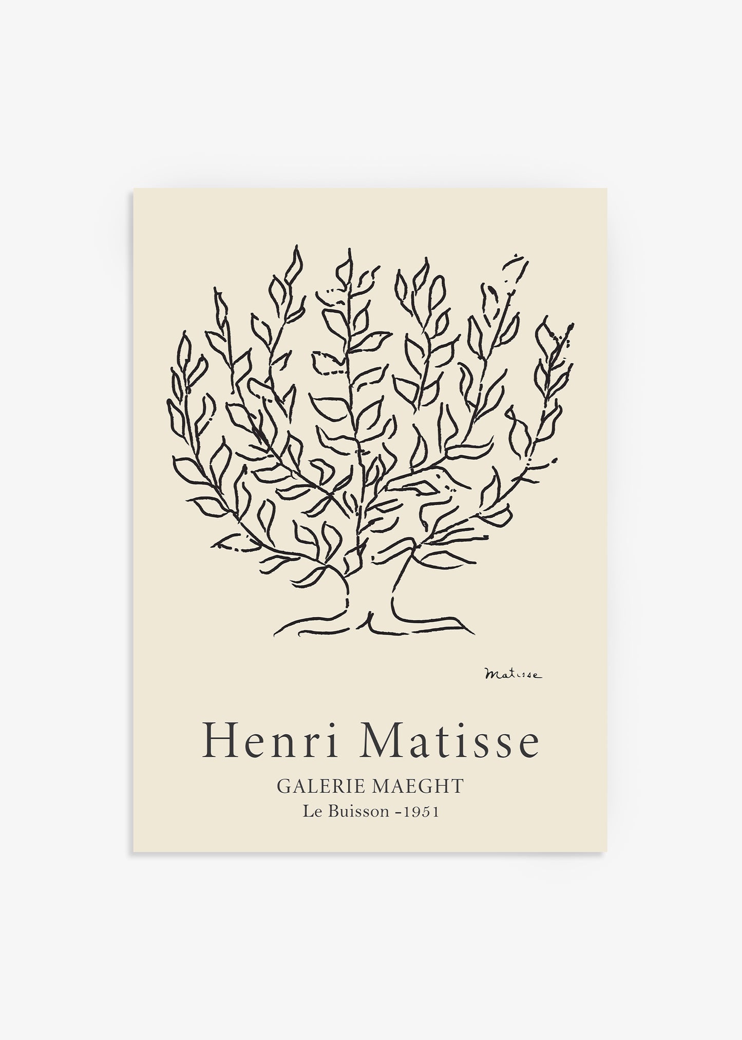 The Plane Tree Print
