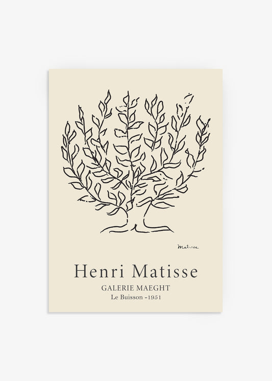 The Plane Tree Print
