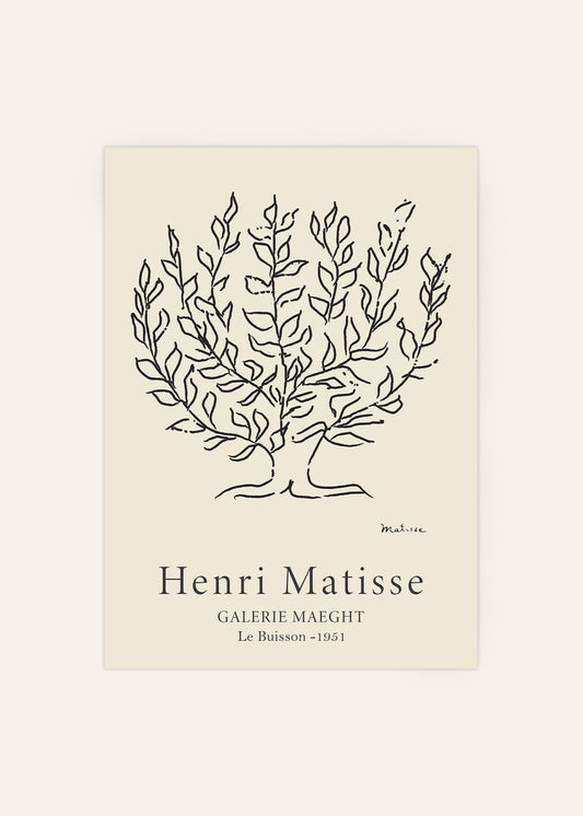 Henri Matisse - The Plane Tree Print