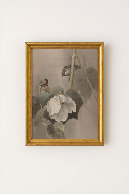 Mallows in the Rain Poster