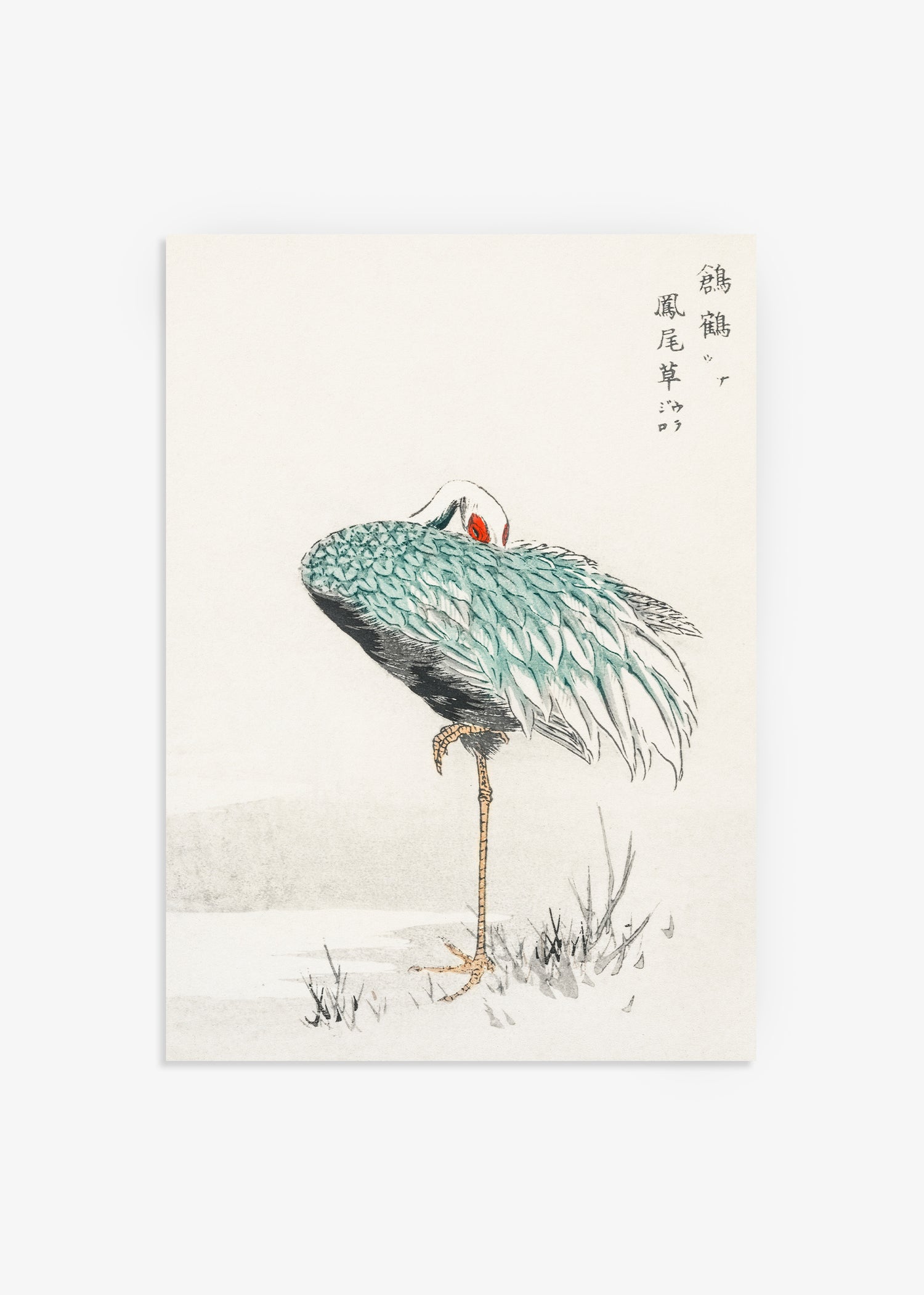 Collection Image