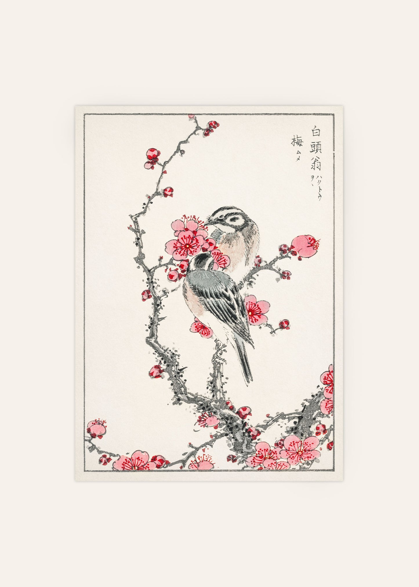 Numata Kashu - Pine Bunting and Plum Tree Print