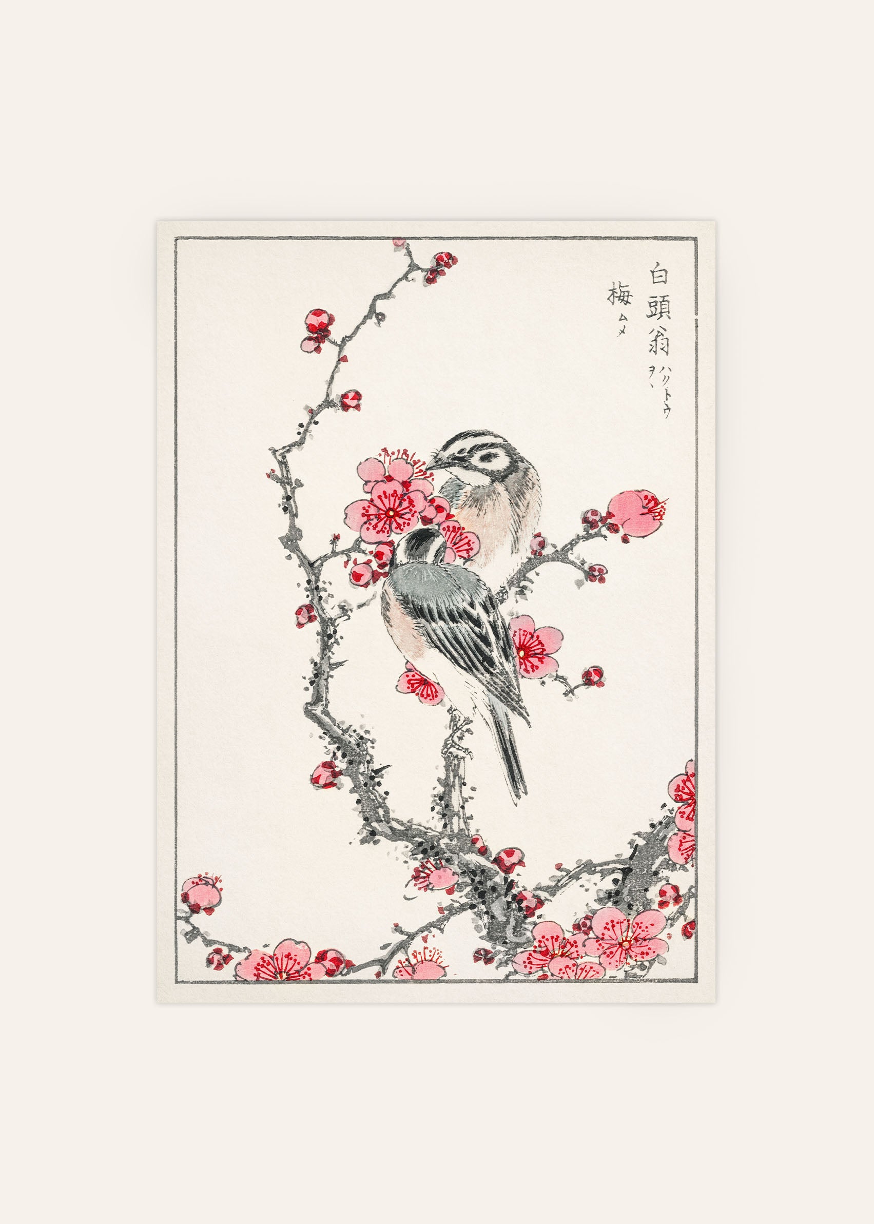 Numata Kashu - Pine Bunting and Plum Tree Print