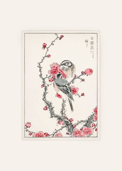 Numata Kashu - Pine Bunting and Plum Tree Print
