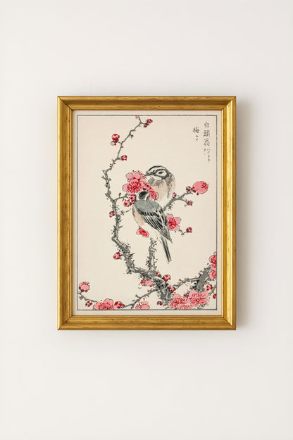 Numata Kashu - Pine Bunting and Plum Tree Print