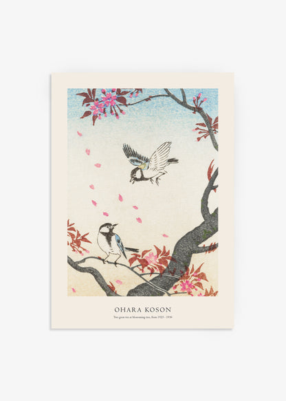 Ohara Koson - Two Great Tits at Blossoming Tree Print