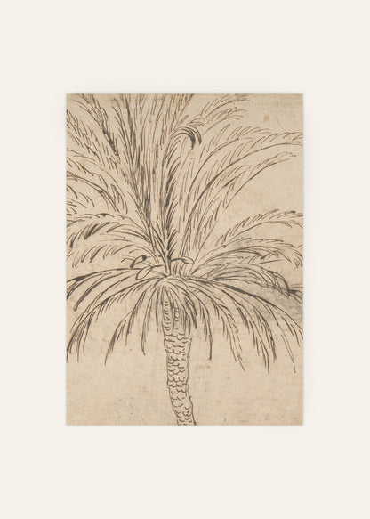 Palm Tree Sketch Poster