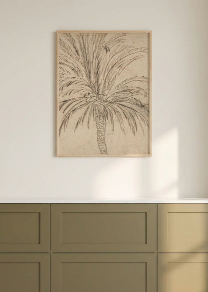 Palm Tree Sketch Poster