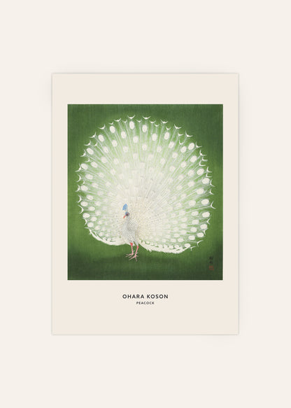 Peacock by Ohara Koson Poster