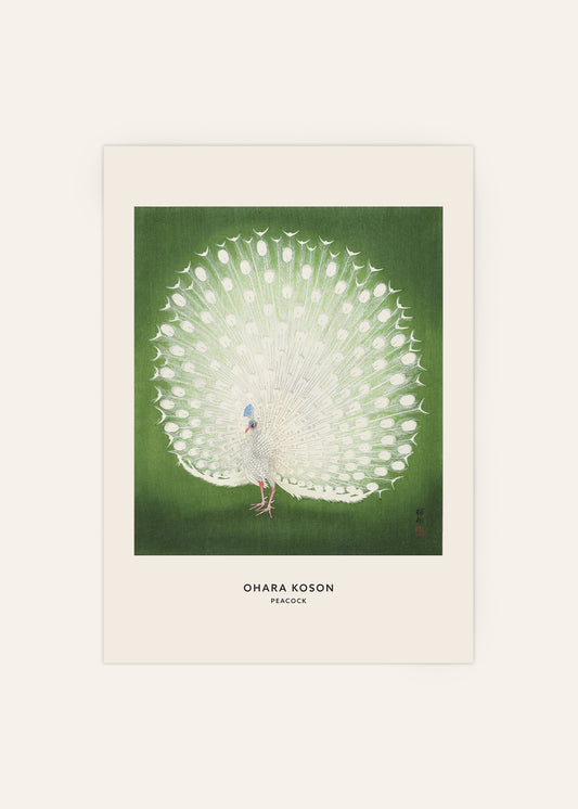 Peacock by Ohara Koson Poster