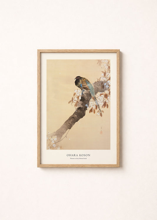 Pheasant on Cherry Blossom Branch Print