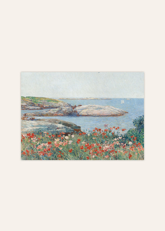 Poppies on the Isles of Shoals Poster
