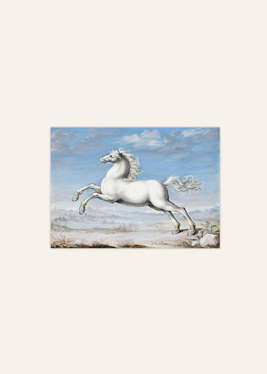 Running White Horse Poster