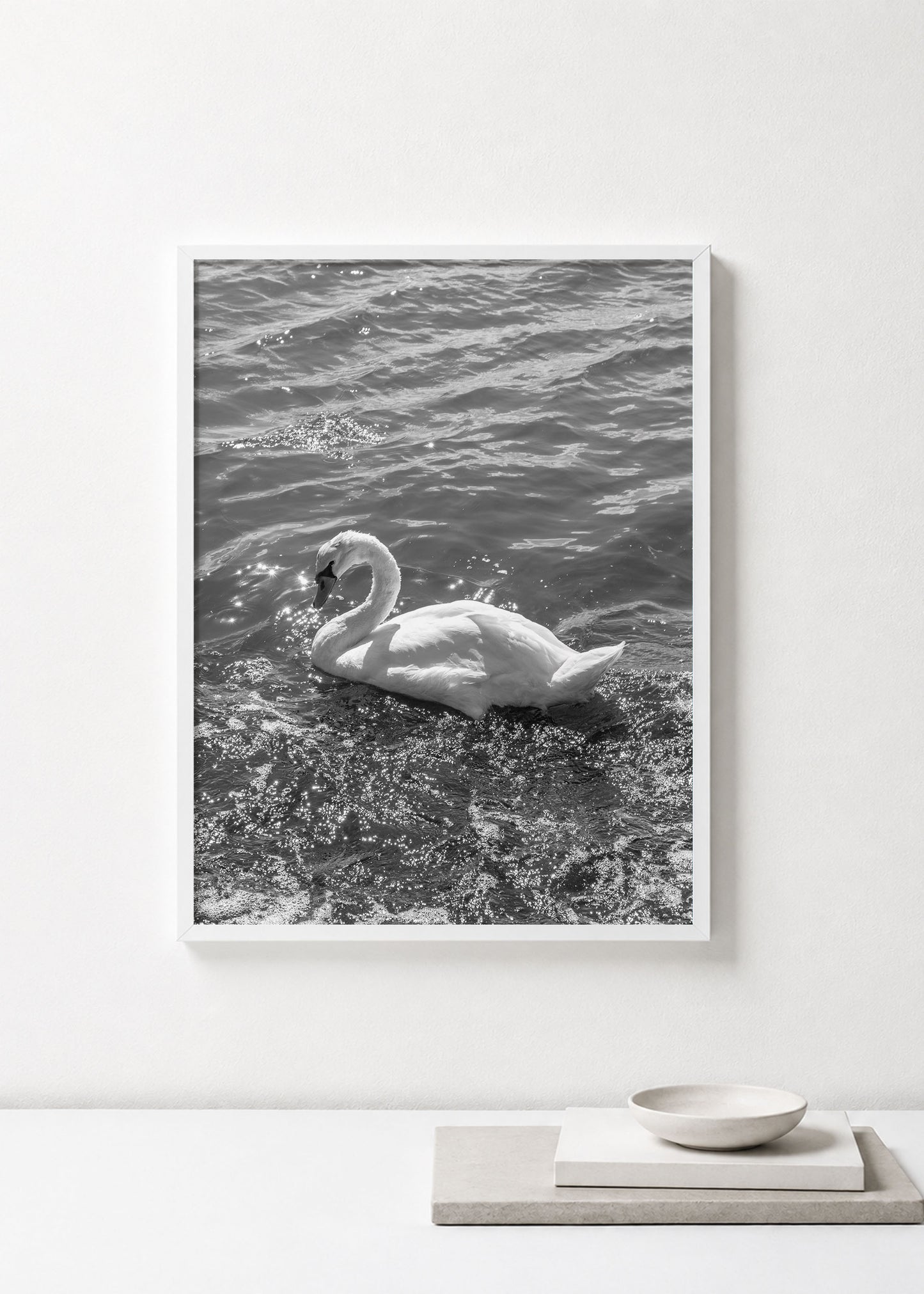 Swan Black and White Photograph Print