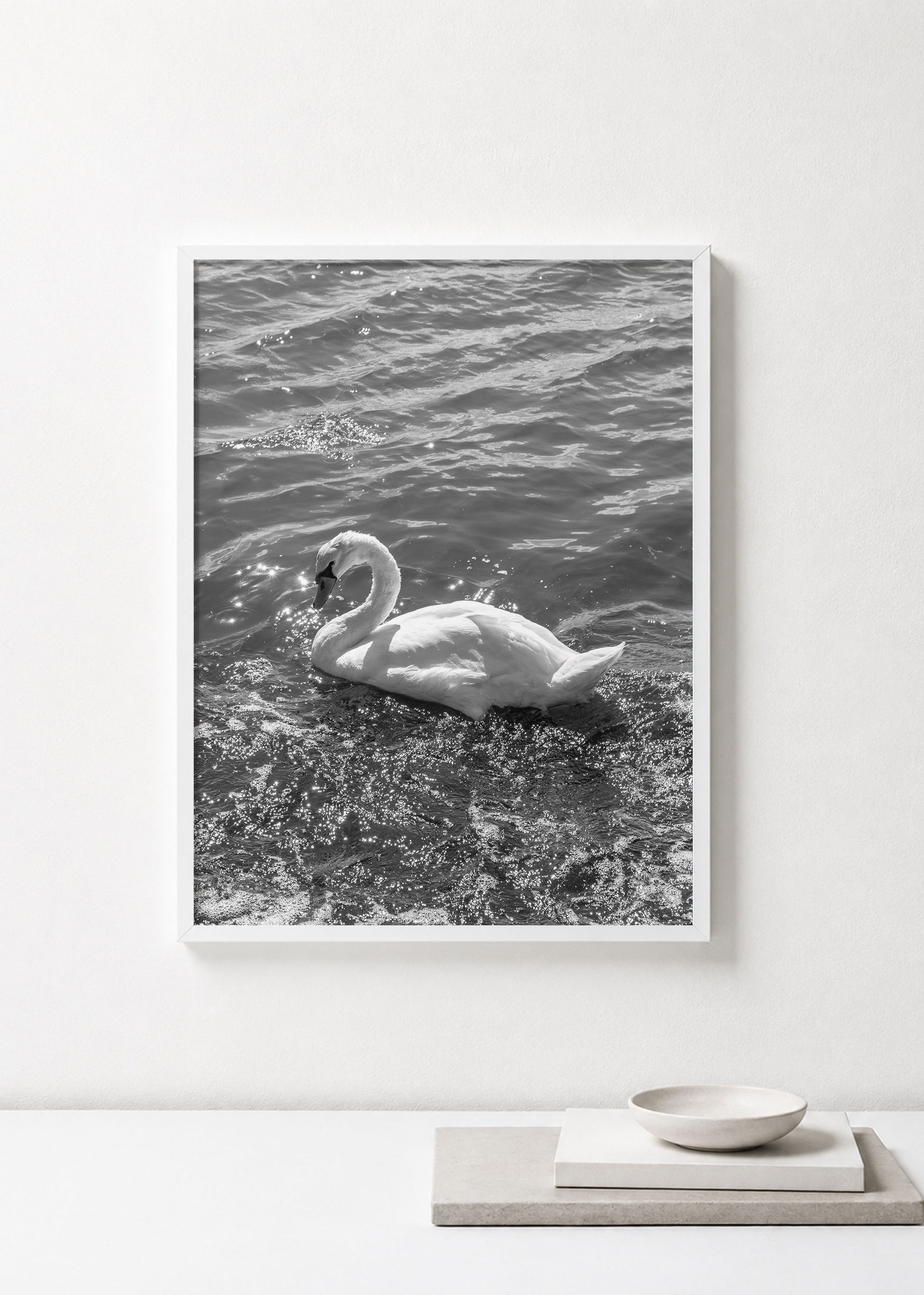 Swan Black and White Photograph Print